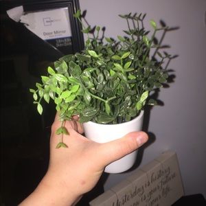 Decorative faux plant